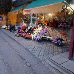 Reymonta 56 Kwiaciarnia Stefaia (Radomsko )
