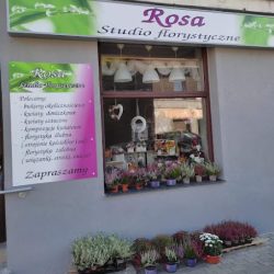 Rosa Studio Florystyczne (Chorzów )