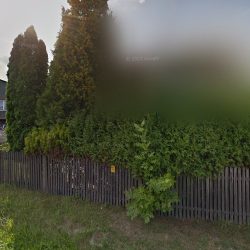 Roża. Fh (Częstochowa )