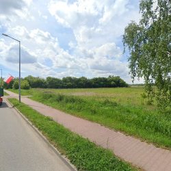 Róża. Kwiaciarnia (Kazimierza Wielka en Merlo San Luis)