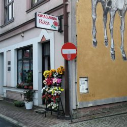 Róża. Kwiaciarnia (Skoczów )