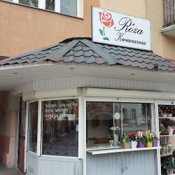 Róża Kwiaciarnia (Elbląg )