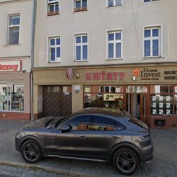 Róża. Kwiaciarnia (Legnica )