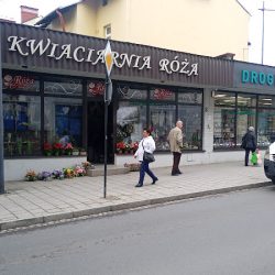 RÓŻa Kwiaciarnia Florystyka (Gorlice )