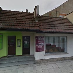 Róża. Kwiaciarnia. Mazur E. (Biała en Merlo San Luis)