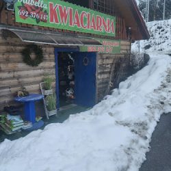 Rubella. Kwiaciarnia. Janusz Gil. (Raba Wyżna )