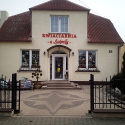 Rusin Ludmiła. Kwiaciarnia (Skulsk en Merlo San Luis)
