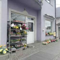 Rzeszowski W. Kwiaciarnia (Iłowa )