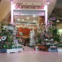 Salon Bukietów I Aranżacji D&m Dorota Caruzzi (Wejherowo )