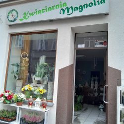 Salon Kwiatów Magnolia Iwona Rymarczyk (Maków Podhalański )
