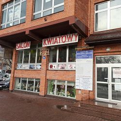 Salon Kwiatowy Ul. 11 Listopada 5a (Ostrołęka )