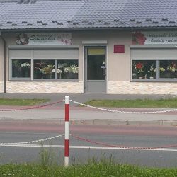 Sasanka. Kwiaciarnia. (Stalowa Wola )