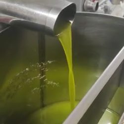 Sikora Krystyna. Agroturystyka (Wola Uhruska en Merlo San Luis)