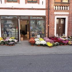 Sis Flowers (Zębowice en Merlo San Luis)