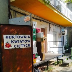 Skaraczyńska Małgorzata. Hurtownia Kwiatów Ciętych (Elizówka en Merlo San Luis)