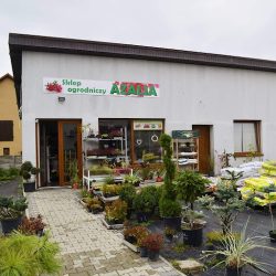 Sklep Azalia (Janków Przygodzki en Merlo San Luis)