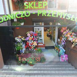 Sklep Ogrodniczo-przemysłowy (Tarłów en Merlo San Luis)