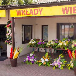 Sklep PŁomyk (Kraśnik en Merlo San Luis)