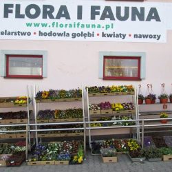 Sklep Pszczelarski I Kwiaciarnia Flora I Fauna (Zebrzydowice )