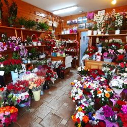 Słonecka Agata. Kwiaciarnia (Międzyrzec Podlaski en Merlo San Luis)