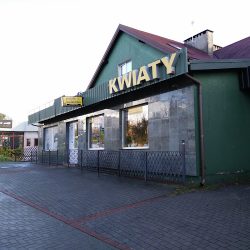 Słonecznik Kwiaciarnia (Olsztyn )