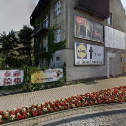 Smoleń S. Bukieciarnia (Myślenice )