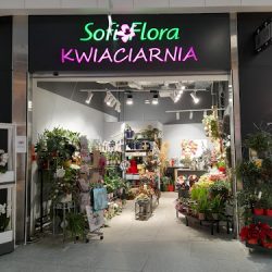 Sofi Flora Kwiaciarnia (Katowice )