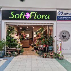 Sofi Flora. Kwiaciarnia (Kraków )
