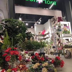 Sofi Flora Tychy (Tychy )