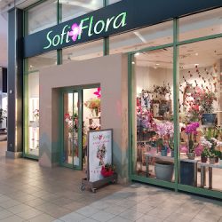 Sofi Flora (Kraków )