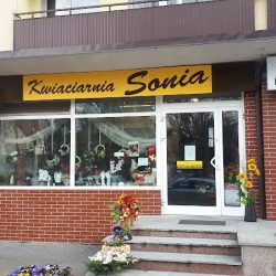 Sonia. Kwiaciarnia (Olecko )