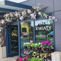Stacja Kwiaty - Kwiaciarnia, Gdańsk Letnica (Gdańsk )