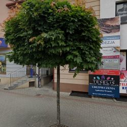Stępińska Zofia. Fh. Kwiaciarnia (Tuchów )