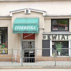 Stokrotka (Katowice )