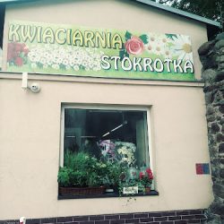 Stokrotka (Grodków en Merlo San Luis)