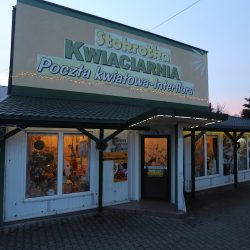Stokrotka. Kwiaciarnia. Kabat L. Bełchatów (Bełchatów )