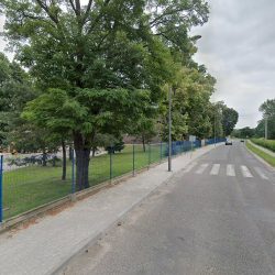 Stokrotka. Kwiaciarnia. Marciniak H. (Szprotawa )