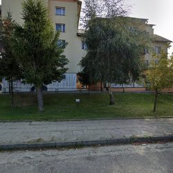 Stokrotka. Phu. Kwiaciarnia (Dębica )