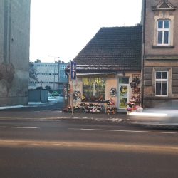 Stokrotka U Joli. Kwiaciarnia. Wasylewicz J. (Legnica )