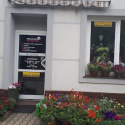 Storczyk. Kwiaciarnia (Rudna )