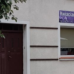 Storczyk. Kwiaciarnia. Imbierowicz K. (Gąsawa )