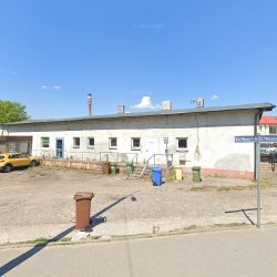Storczyk. Kwiaciarnia. Maksym H. (Wąbrzeźno )
