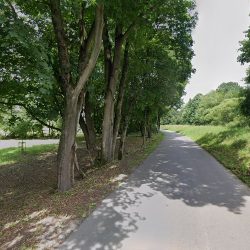 Storczyk. Kwiaciarnia. Ogórek R. (Spytkowice )