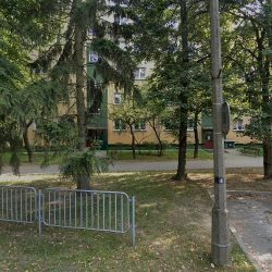 Storczyki U Daniela (Lublin )