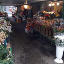 Stragany Z Kwiatami (Zabrze )