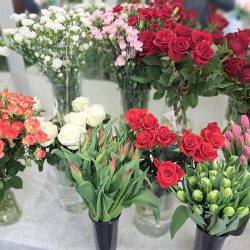 Strefa Florystyki (Ozorków )