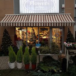 Studio Florystyczne Flowers For You (Stare Babice )