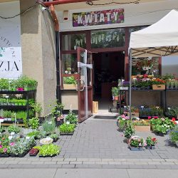 Studio Florystyczne