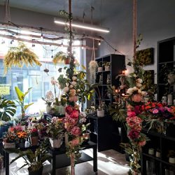 Studio Florystyczne Kamelia - Kwiaciarnia Grodzisk Mazowiecki (Grodzisk Mazowiecki )