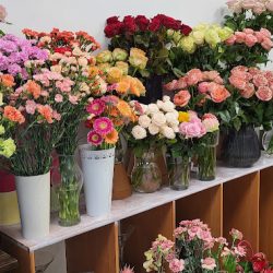 Studio Florystyczne